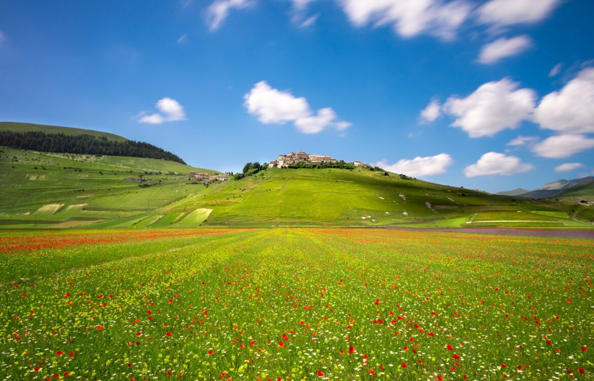 Corso di fotografia con smartphone